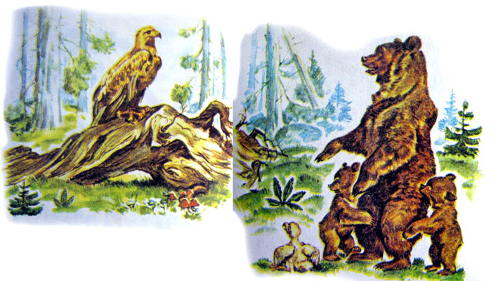 قصه کودکانه ماجرای سه بچه خرس-داستانهای مصوّر رنگی برای کودکان -ارشیو قصه و داستان ایپابفا